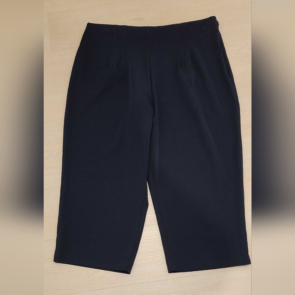✨️New Navy Blue Cropped Pants with Tummy Support Size - 24W